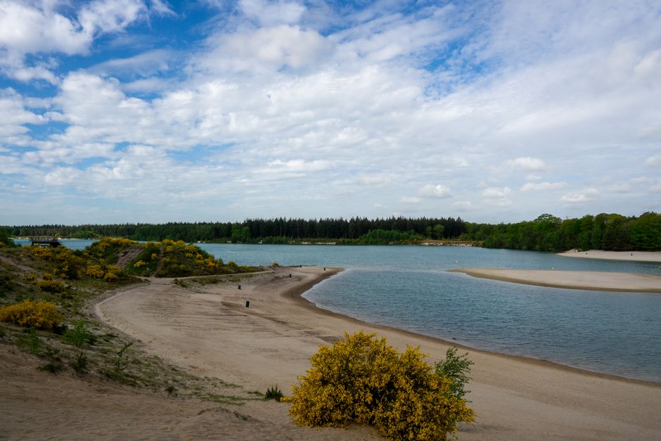 A wide view of a river with gentle curves flowing through a landscape with sandy banks and patches of yellow flowering gorse bushes, set under a partly cloudy sky with white clouds and patches of blue